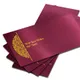 Burgandy__InPrintStory